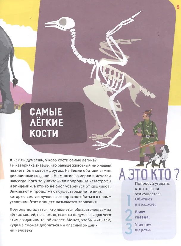 Книга Поразительные животные: кости и скелеты (Ксения Евдокимова) — 3