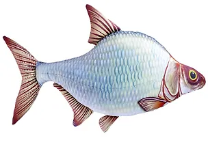 Мягкая игрушка Рыба Лещ / 79 см 2882176