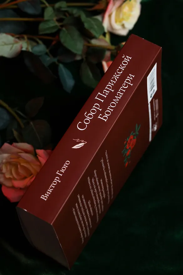 Книга Собор Парижской Богоматери (Виктор Мари Гюго) — 9
