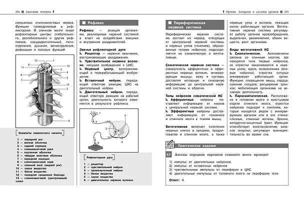 Книга Биология. Наглядный справочник для подготовки к ОГЭ и ЕГЭ (Татьяна Никитинская) — 14
