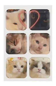 3D стикеры "Котики-3" (6шт)