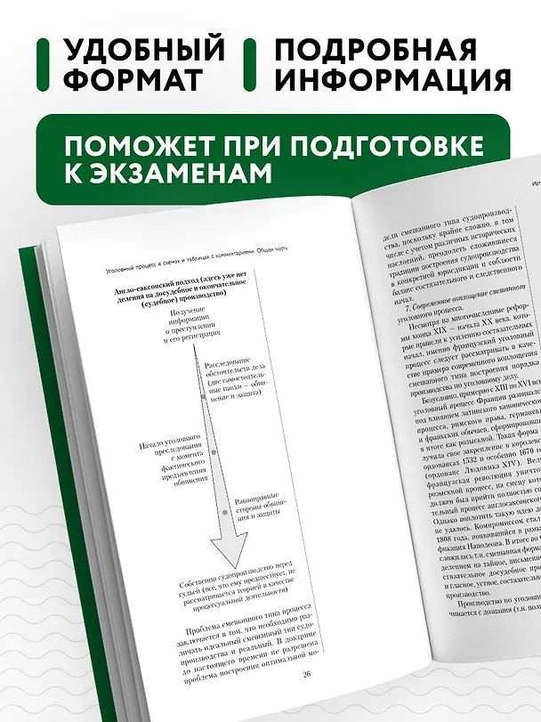 Книга Уголовный процесс в схемах и таблицах с комментариями. Общая часть. Учебное пособие (Денис Печегин) — 6