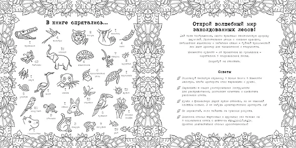 Книга Удивительные джунгли (Джоанна Бэсфорд) — 3