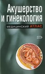 Акушерство и гинекология — 2143035 — 1