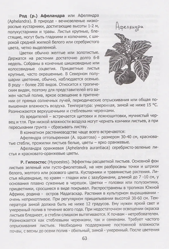 Книга Секреты «домашних» растений: мифы и реальность (Елена Евдокимова) — 5