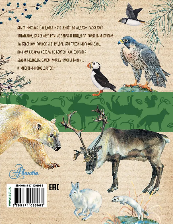 Книга Кто живёт во льдах (Николай Сладков) — 2