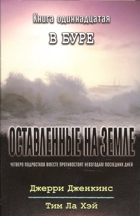 Книга Оставленные на земле. Книга 11. В буре (Джерри Дженкинс, Тим Ла Хэй) — 1