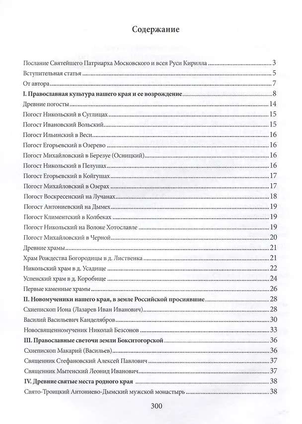 Книга Свет родной земли. Приходская жизнь православных храмов Тихвинской епархии. Бокситогорский район (Маргарита Рассказова) — 6