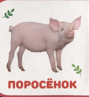 Книга Домашние животные () — 5