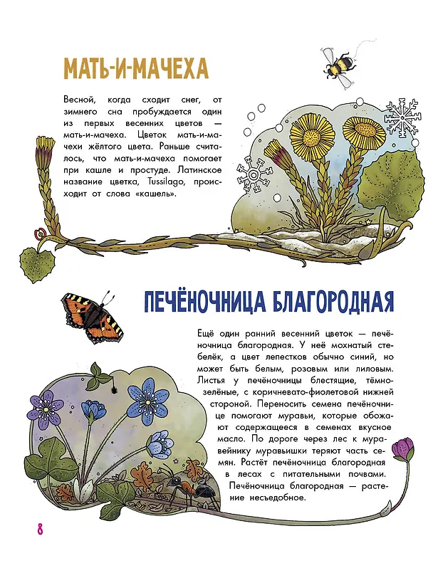 Книга Цветы и растения (Эмма Янссон) — 5