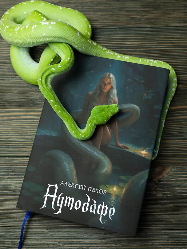 Книга Аутодафе. Коллекционное издание (Алексей Пехов) — 5