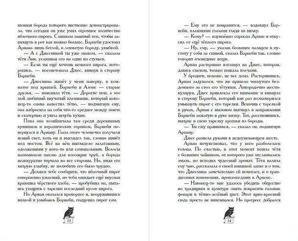 Книга Завеса Аркена (#1) (Фальк Хольцапфель) — 9