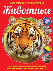 Животные