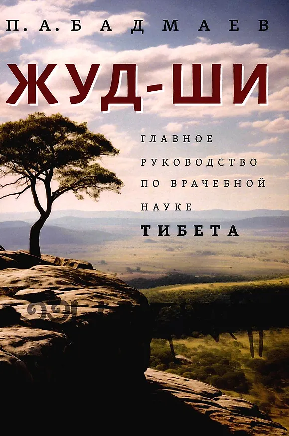 Книга Жуд-Ши. Главное руководство по врачебной науке Тибета (Пётр Бадмаев) — 1