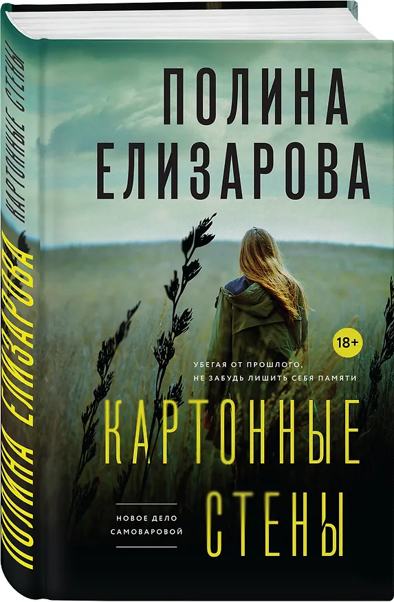 Книга Картонные стены (Полина Елизарова) — 4