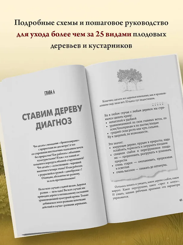 Книга Обрезка и формировка деревьев и кустарников (Николай Курдюмов) — 7