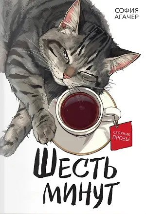 Книга Шесть минут (София Агачер)