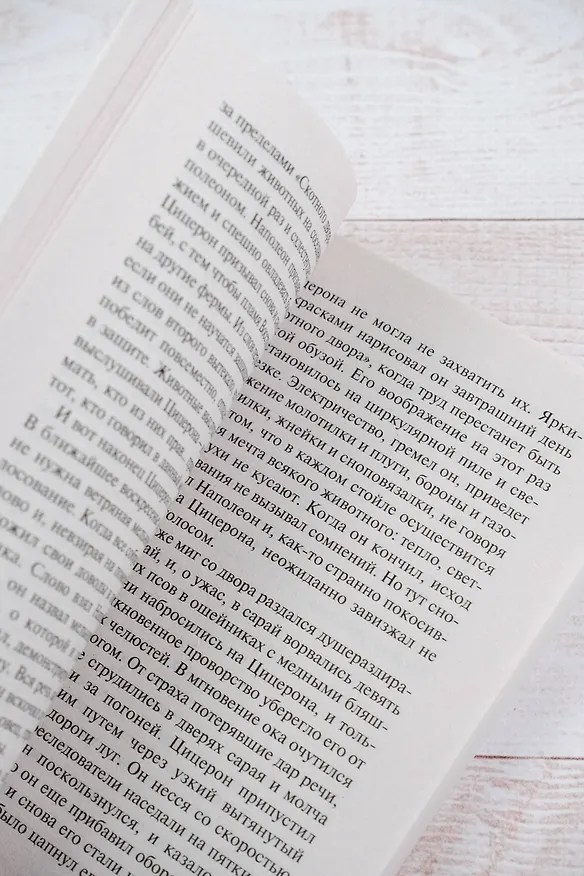 Книга Скотный двор. Эссе (Джордж Оруэлл) — 9