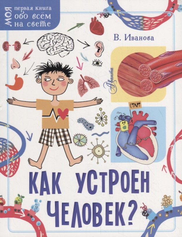 

Как устроен человек