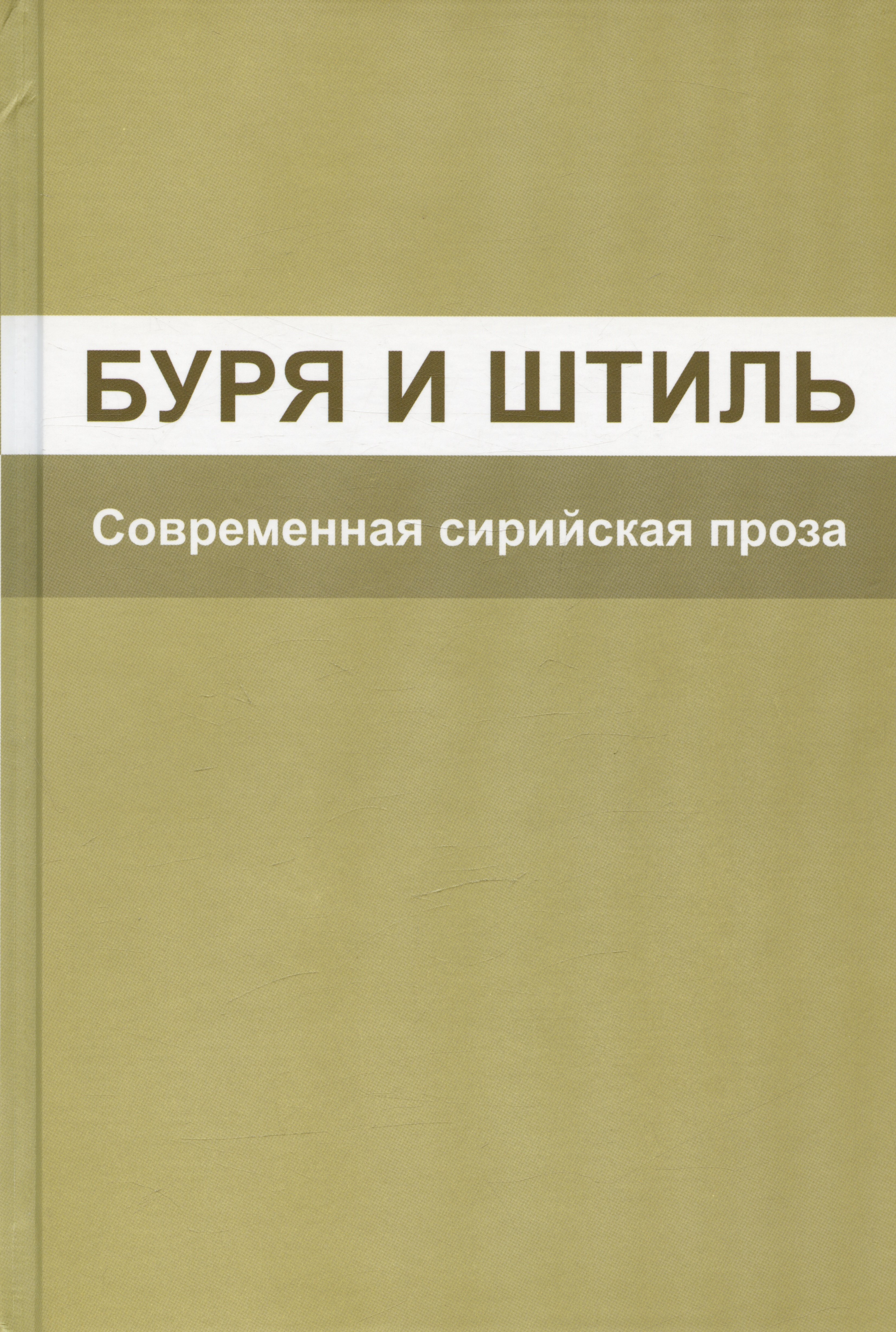 

Буря и штиль. Современная сирийская проза