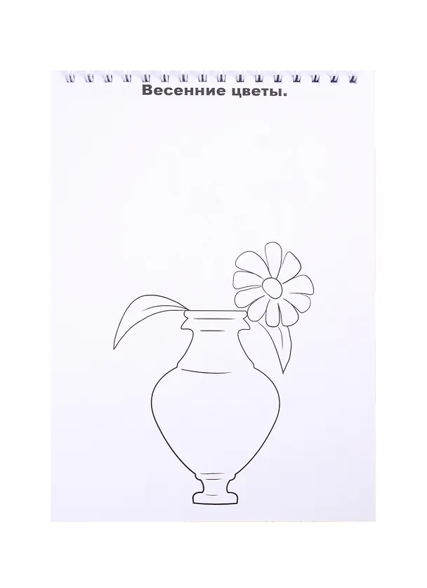 Книга Скетч-раскраска "Для девчонок" () — 4