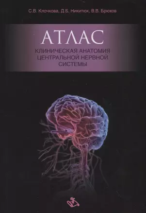 Атлас. Клиническая анатомия центральной нервной системы — 2716517 — 1