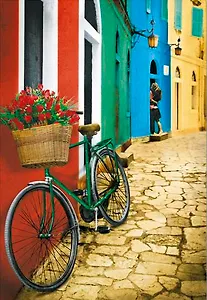 Пазл 500 Первая любовь (Educa Puzzle) (15557) (48х34см) (коробка)