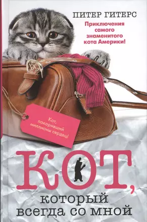 Кот, который всегда со мной — 2386949 — 1