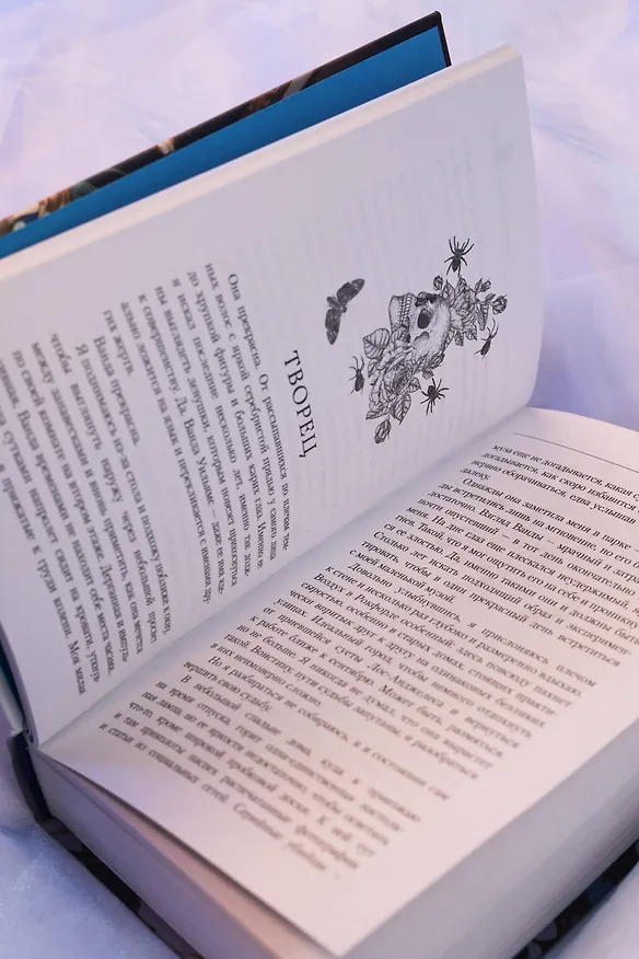 Книга Синие бабочки (Джек Тодд) — 12