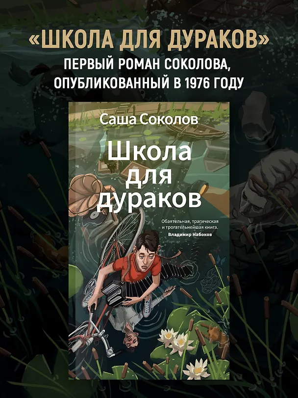 Книга Школа для дураков (Саша Соколов) — 5