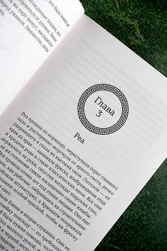 Книга В горящем золотом саду (Рори Пауэр) — 9