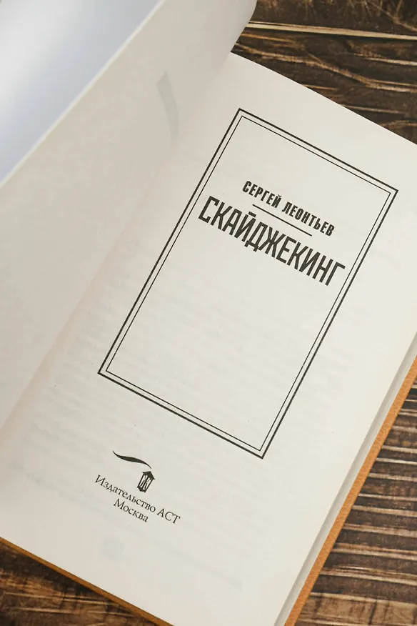Книга Скайджекинг (Сергей Леонтьев) — 10