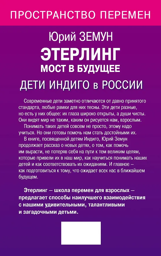 Книга Этерлинг.Мост в будущее.Дети (Юрий Земун) — 2