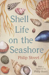 Shell Life on the Seashore