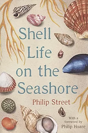 Shell Life on the Seashore — 2762174 — 1