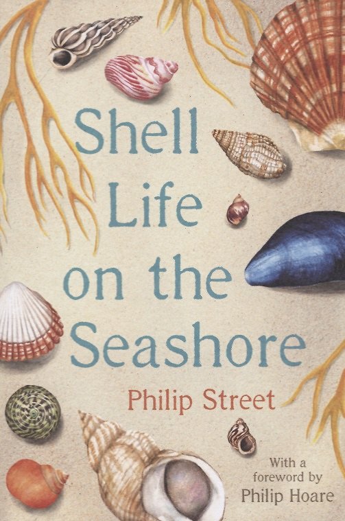 Книга Shell Life on the Seashore (Philip Street) — 1
