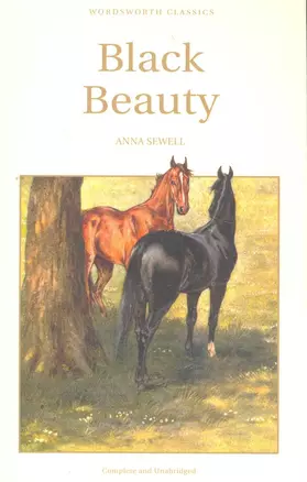 Black Beauty — 2272724 — 1