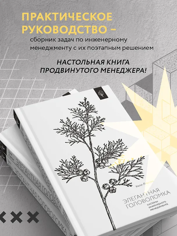 Книга Элегантная головоломка. Системы инженерного менеджмента (Уилл Ларсон) — 6