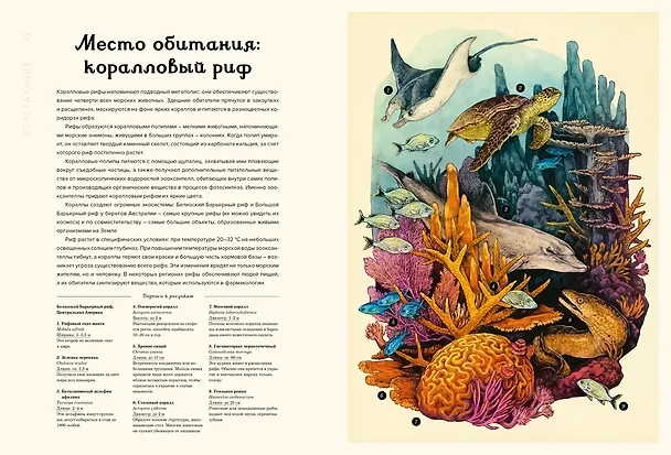 Книга Океанариум (Лавдэй Триник) — 11