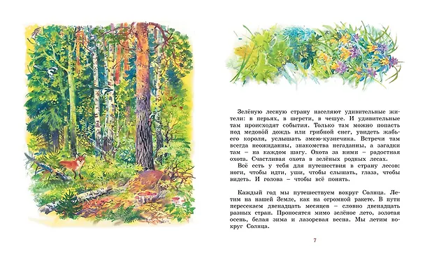 Книга Лесные тайнички (Николай Сладков) — 2