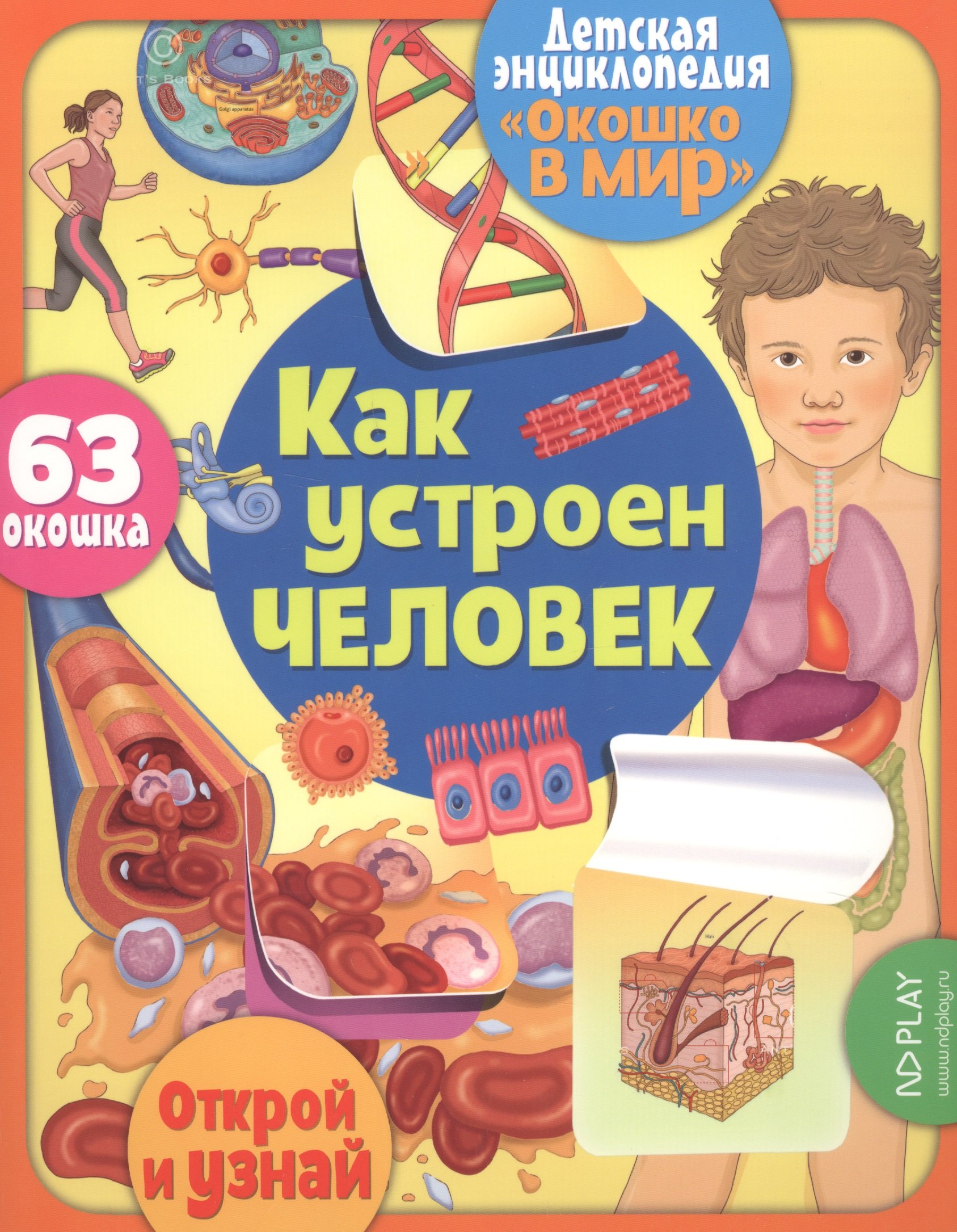 

Как устроен человек. 63 окошка