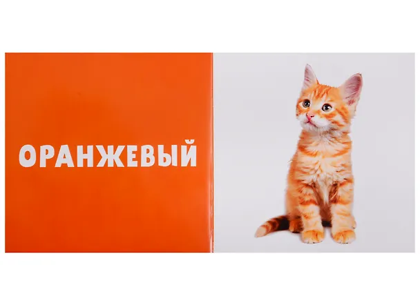 Книга Цвета. Фотокнига (Ольга Уткина) — 3