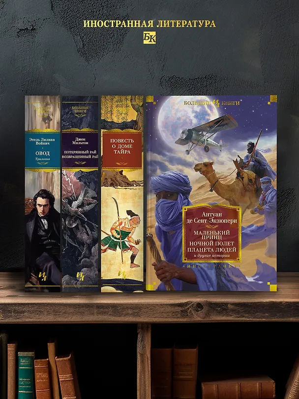 Книга Маленький принц. Ночной полет. Планета людей и другие истории (Антуан де Сент-Экзюпери) — 5
