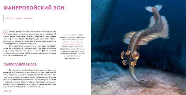Книга История Земли: от звездной пыли к звездной пыли (Антон Нелихов) — 5