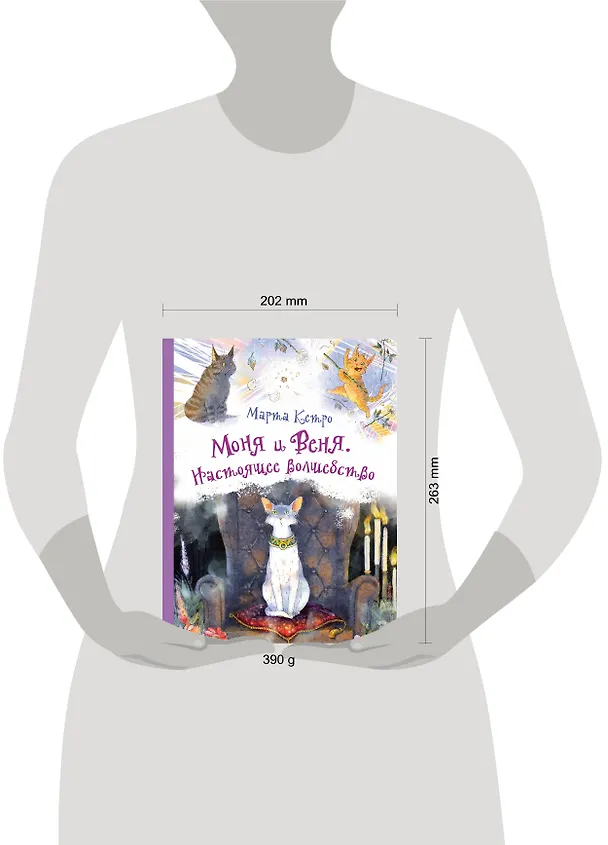 Книга Моня и Веня. Настоящее волшебство (Марта Кетро) — 4