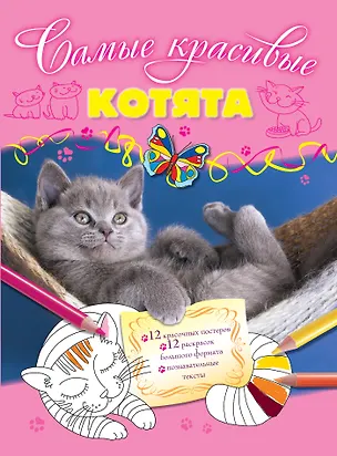Книга Котята (Юлия Волченко)