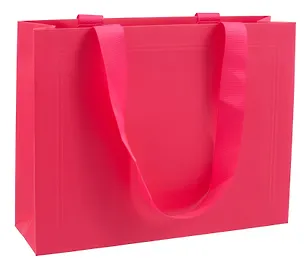 Пакет А5 27,5*21*8 "Fuchsia" 3098931