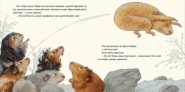 Книга Лучше всех? (Лоренц Паули) — 5