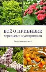 Все о прививке деревьев и кустарников: Вопросы и ответы — 2214102 — 1