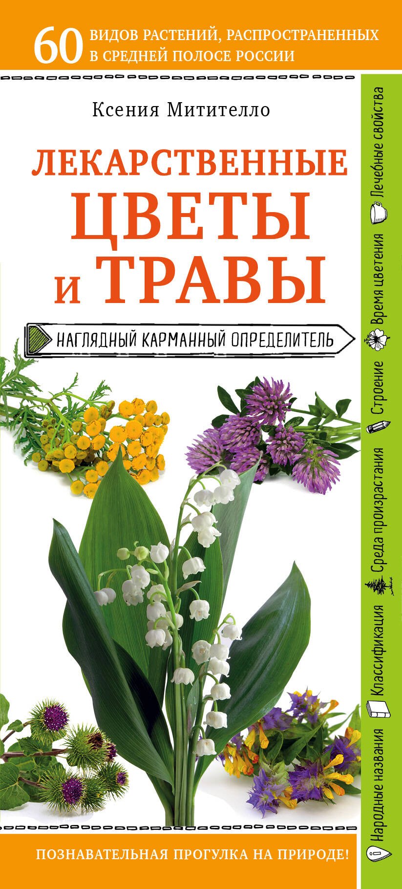 

Лекарственные цветы и травы. Наглядный карманный определитель